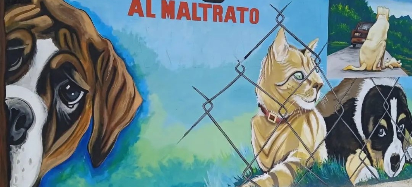Cipolletti: Costeará la realización de un mural para concientizar sobre el maltrato animal