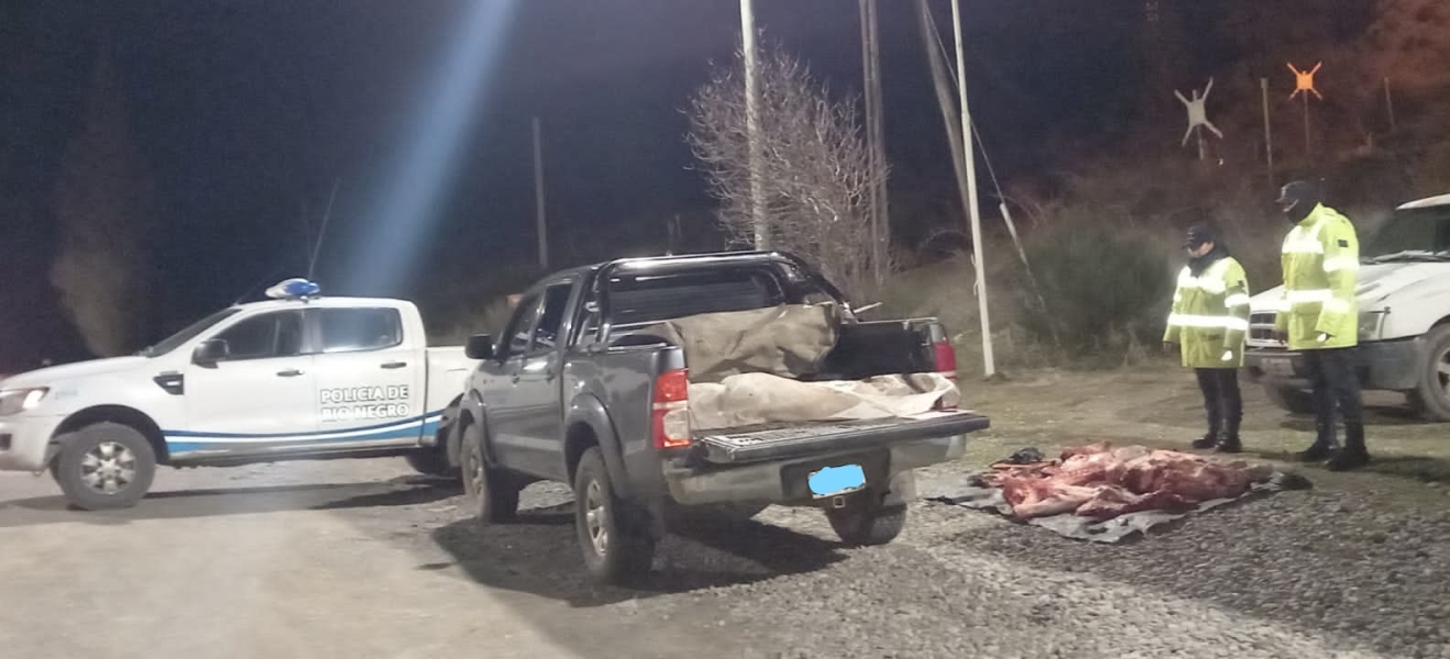 Bariloche: decomisan un ternero faenado y transportado ilegalmente