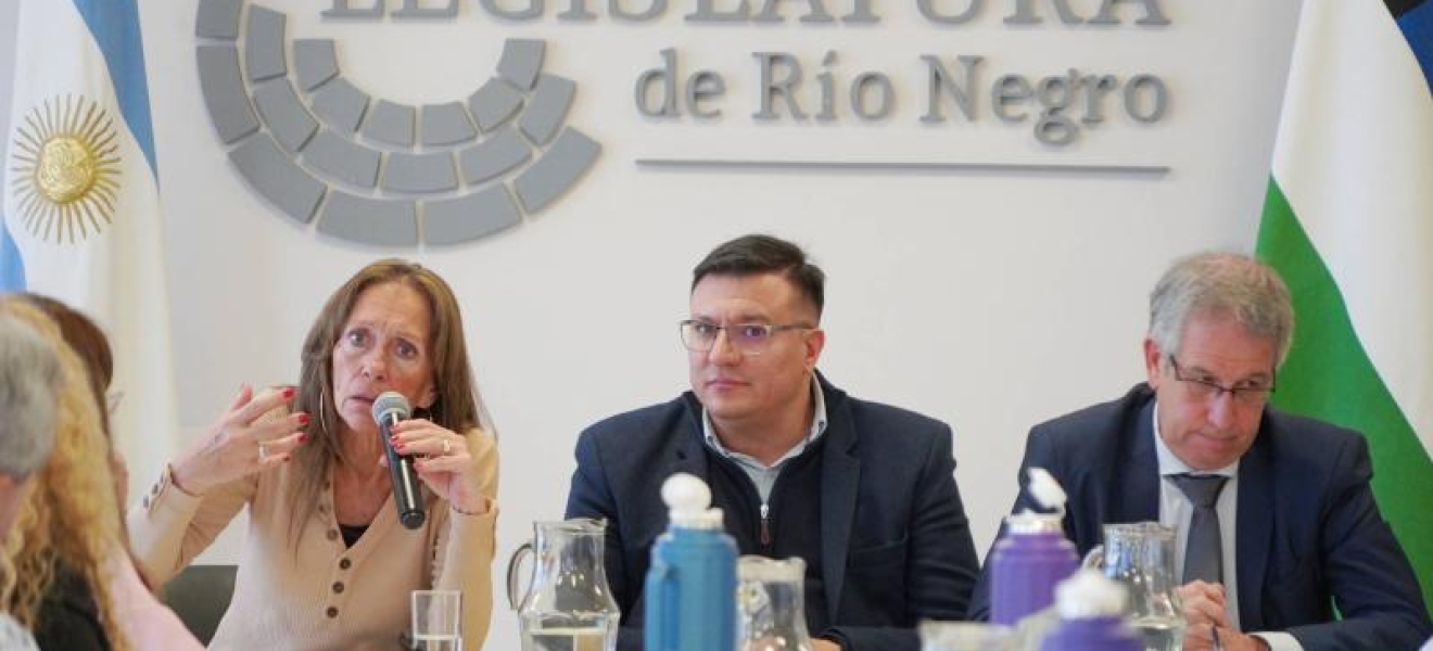 (((video))) Buscan modificar el código procesal penal en Río Negro