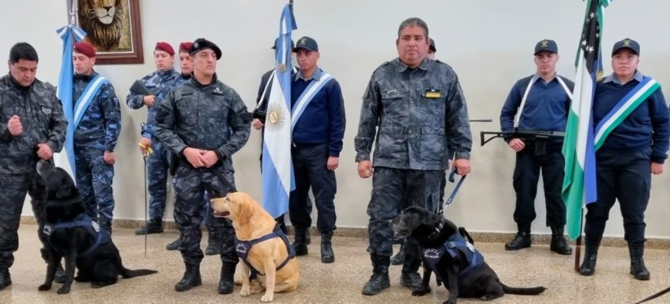 Emotivo acto de retiro para tres canes de la Policía de Río Negro