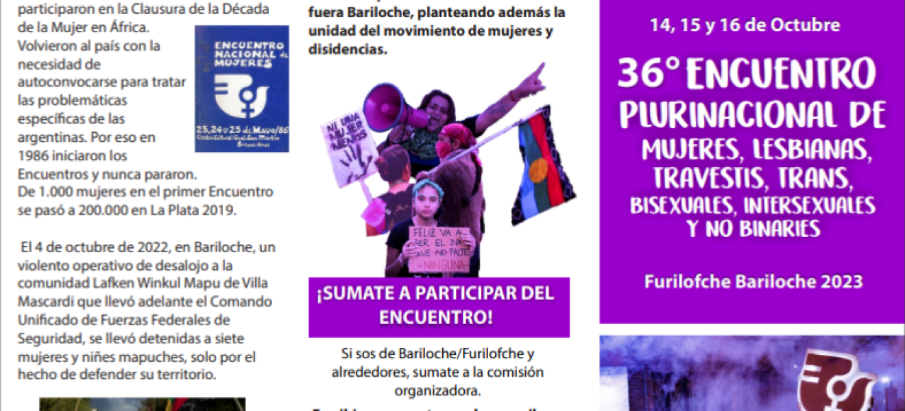 Encuentro de Mujeres y disidencias en Bariloche fue declarado de interés por el Consejo de Educación