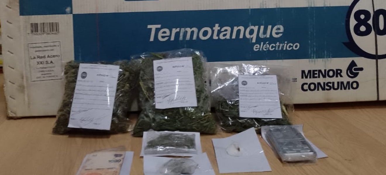 Secuestran plantas de marihuana y estupefacientes en Villa Regina