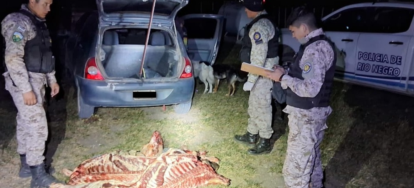 Bariloche: Brigada Rural secuestró en la Línea Sur un vacuno faenado