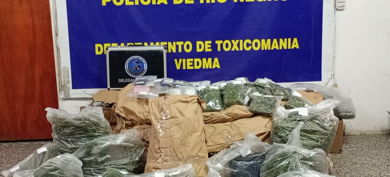 Una huerta de marihuana en Viedma: dos personas detenidas