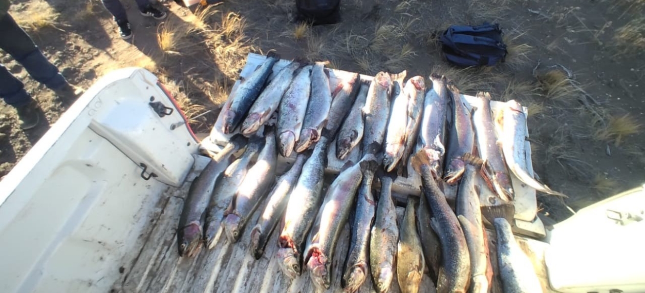 Guardafaunas detectaron actividad ilícita de pescadores en Piedra del Águila