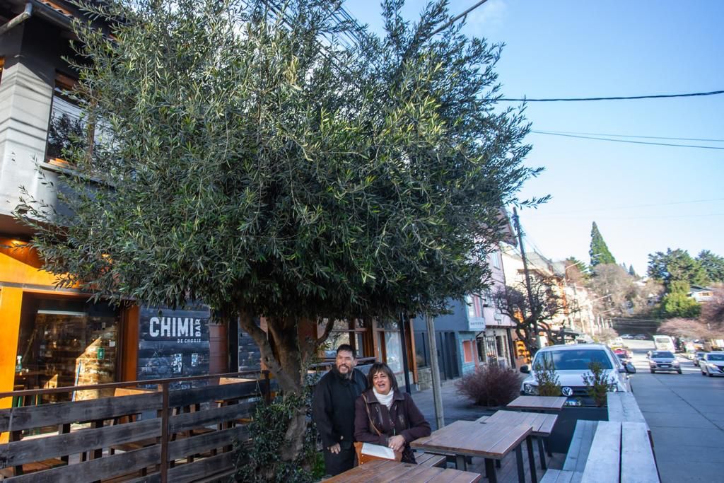 Galaverna destacó junto a un especialista las características de un olivo único en Bariloche
