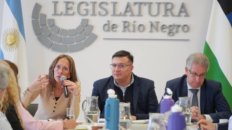 (((video))) Buscan modificar el código procesal penal en Río Negro
