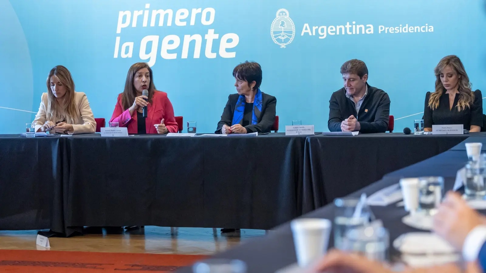 Río Negro en la presentación de la Estrategia Nacional del Hidrógeno