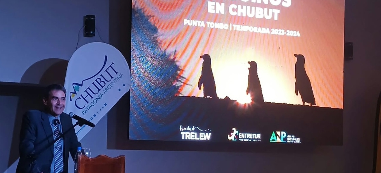 Se lanzó la Temporada de Pingüinos en Chubut