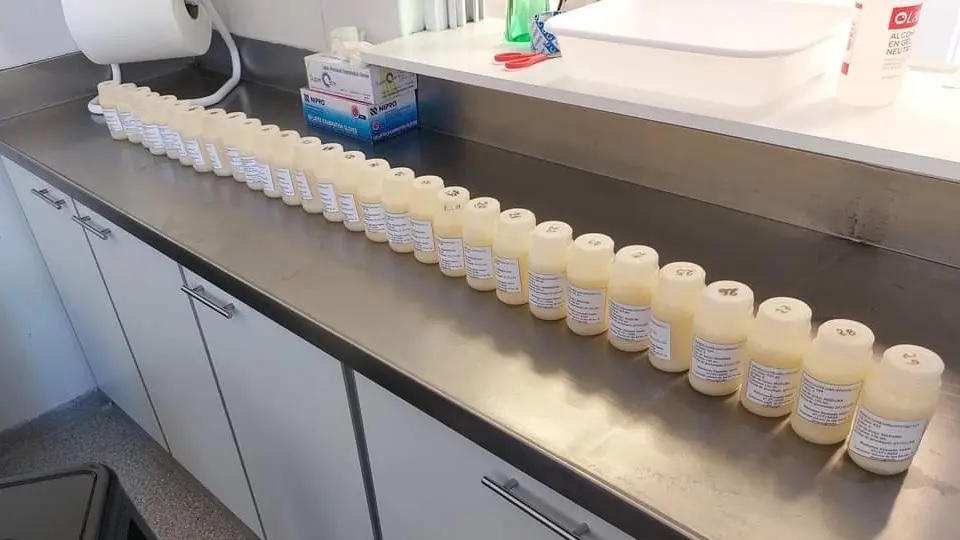 El Banco de Leche Humana de Río Negro cumple 5 años de trabajo