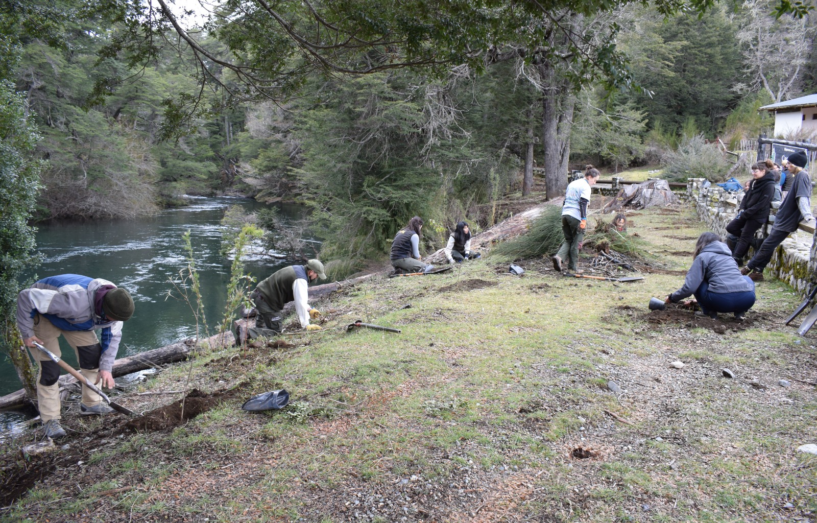  Jornada de plantación y extracción de exóticas en Cascada los Alerces 