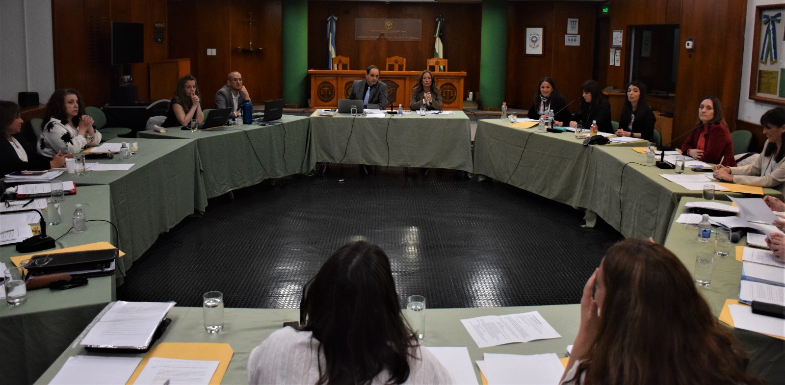 Río Negro: Jornadas de trabajo de la Unidad de Planificación del Fuero de Familia