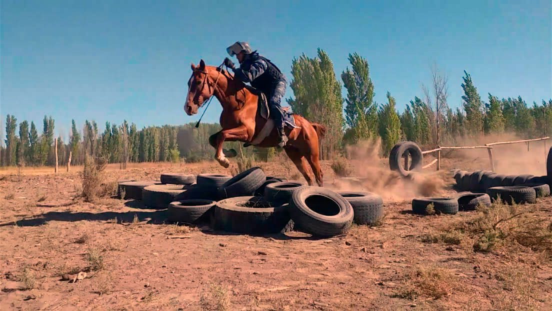 Policía montada de Río Negro: Entre trabajos de prevención y el compañerismo con los caballos