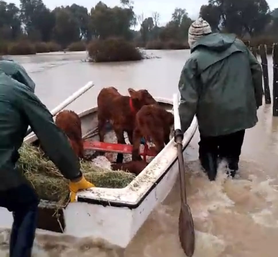 García Larraburu solicitó recursos de Nación por las inundaciones en El Manso y El Foyel