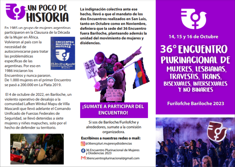 Encuentro de Mujeres y disidencias en Bariloche fue declarado de interés por el Consejo de Educación