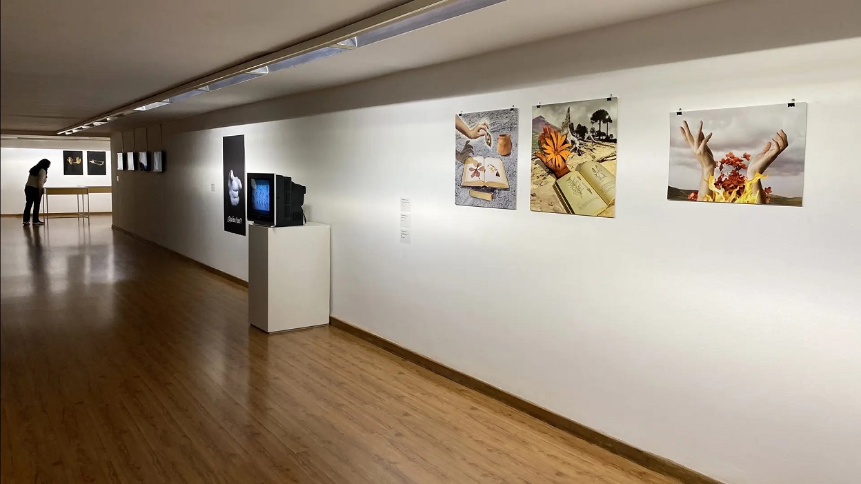 Destacada artista rionegrina expone en Argentina y Uruguay