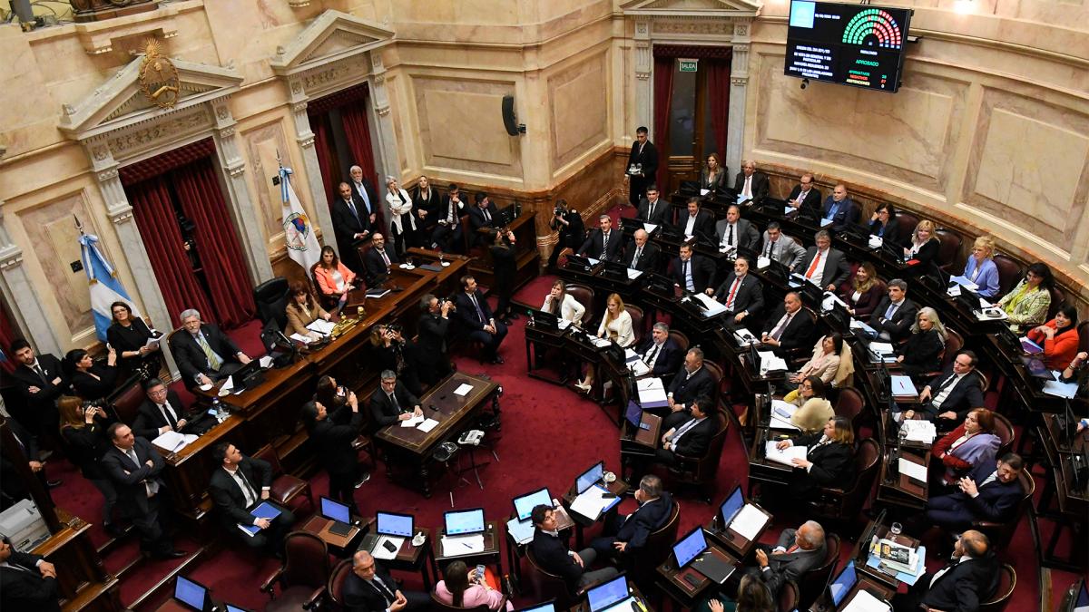 Una por una, las leyes de la maratónica sesión en el Senado de la Nación
