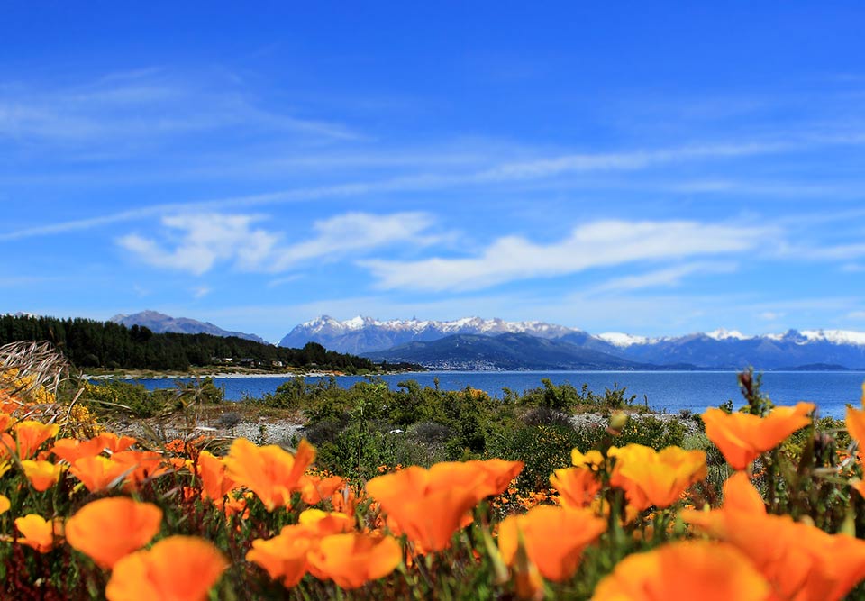 Jornadas internacionales sobre didáctica de las lenguas y las literaturas en Bariloche