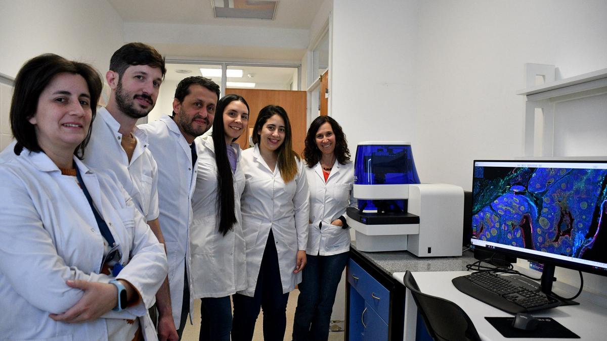 Científicos del Conicet investigan una técnica para dirigir las terapias contra el cáncer