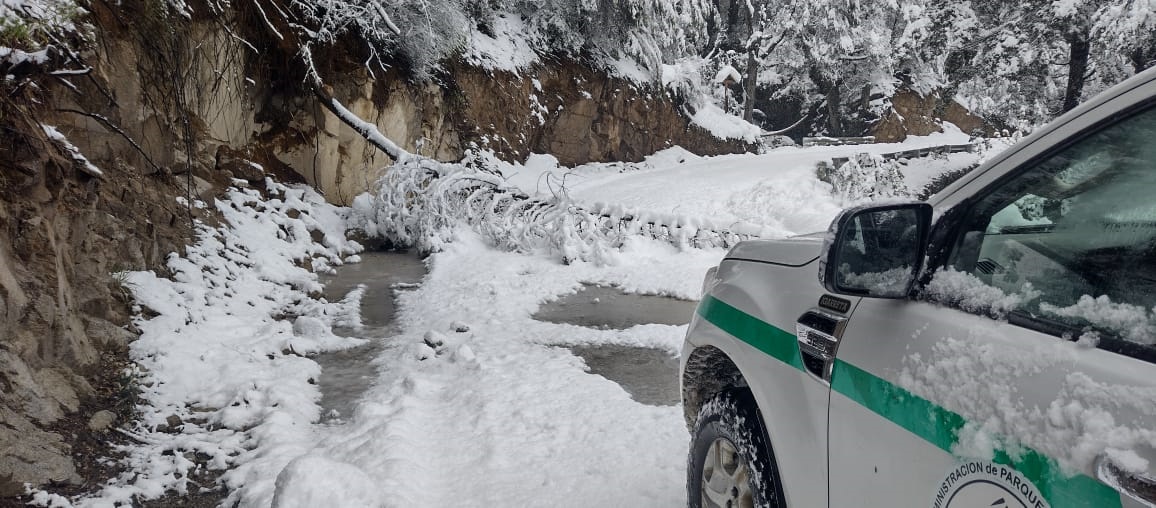Bariloche: Camino a Tronador transitable una sola mano, lunes 30 no habilitado para minibuses