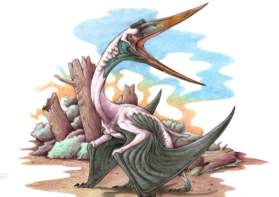 El reptil volador más antiguo de América del Sur es rionegrino
