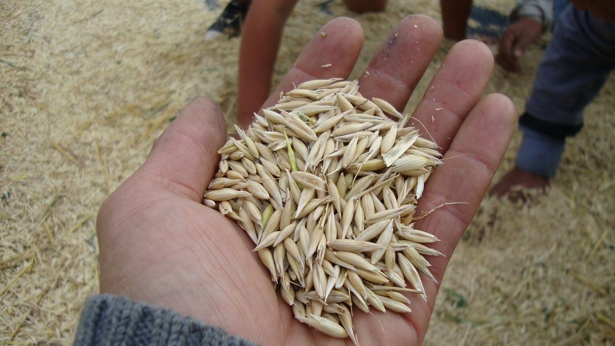 El Bolsón: charlas de carrera con Agroecología y Tecnicatura en Producción Vegetal Orgánica