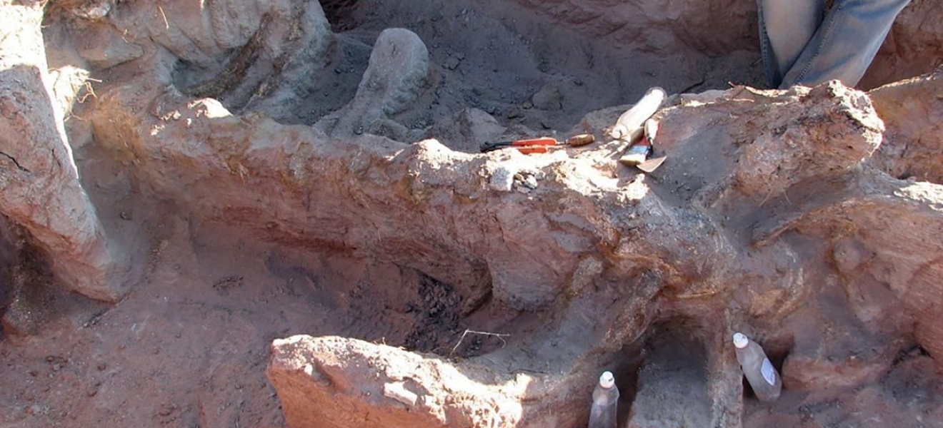 El Conicet descubrió una nueva especie de dinosaurio en Neuquén