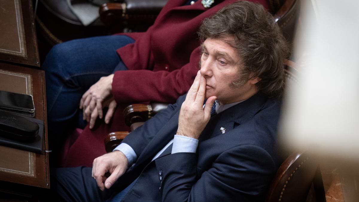 La Justicia advirtió que Milei no entregó la suficiente cantidad de boletas
