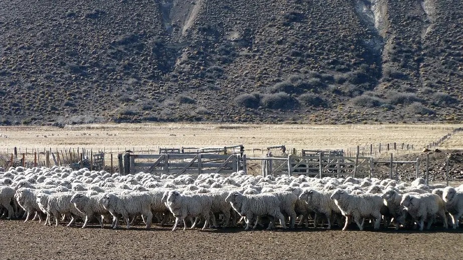 Está abierta la inscripción al Plan LanAr en Río Negro