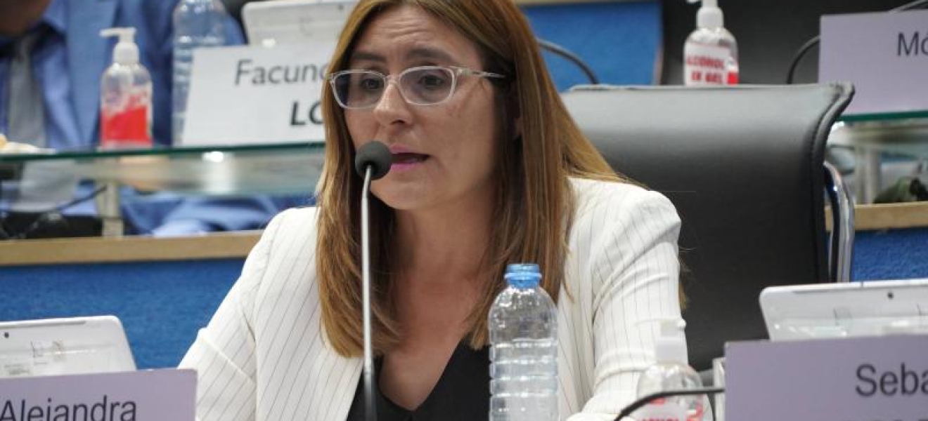 Legislatura de Río Negro aprobó la toma de crédito de PROFARSE ante entidades financieras
