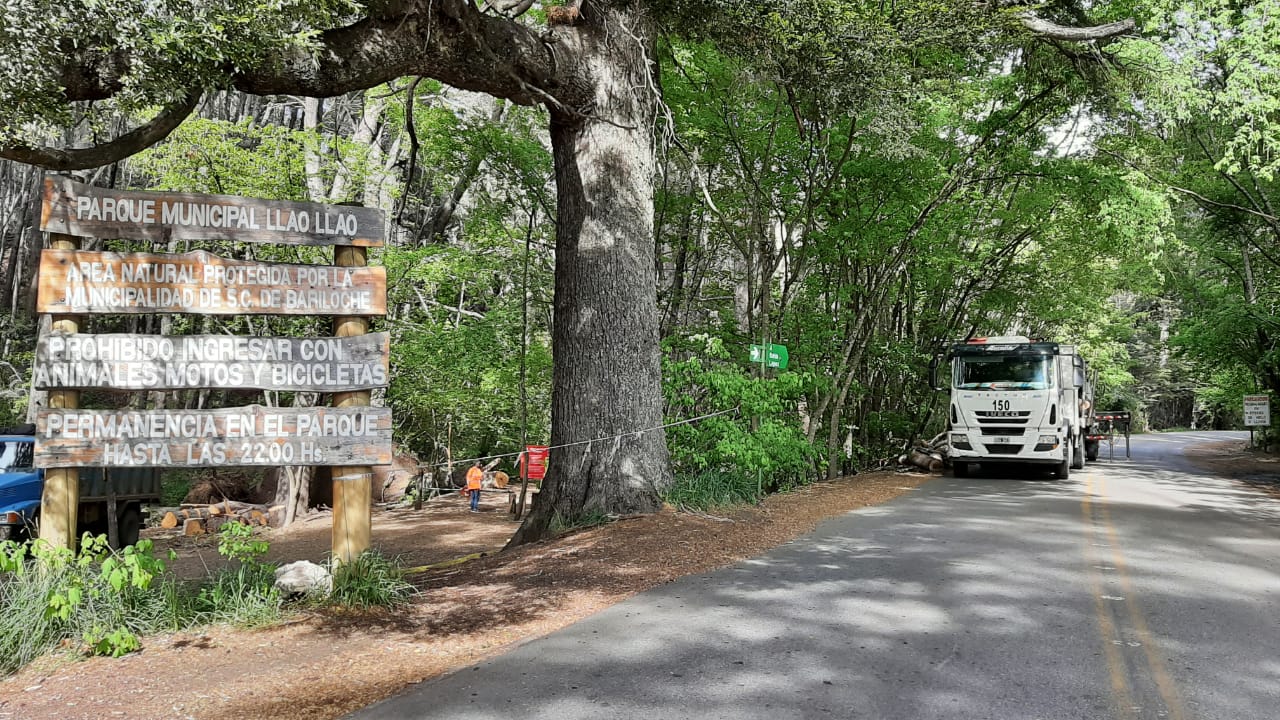 Bariloche: El acceso al Parque Municipal Llao Llao es gratuito para residentes, jubilados y menores de 12 años