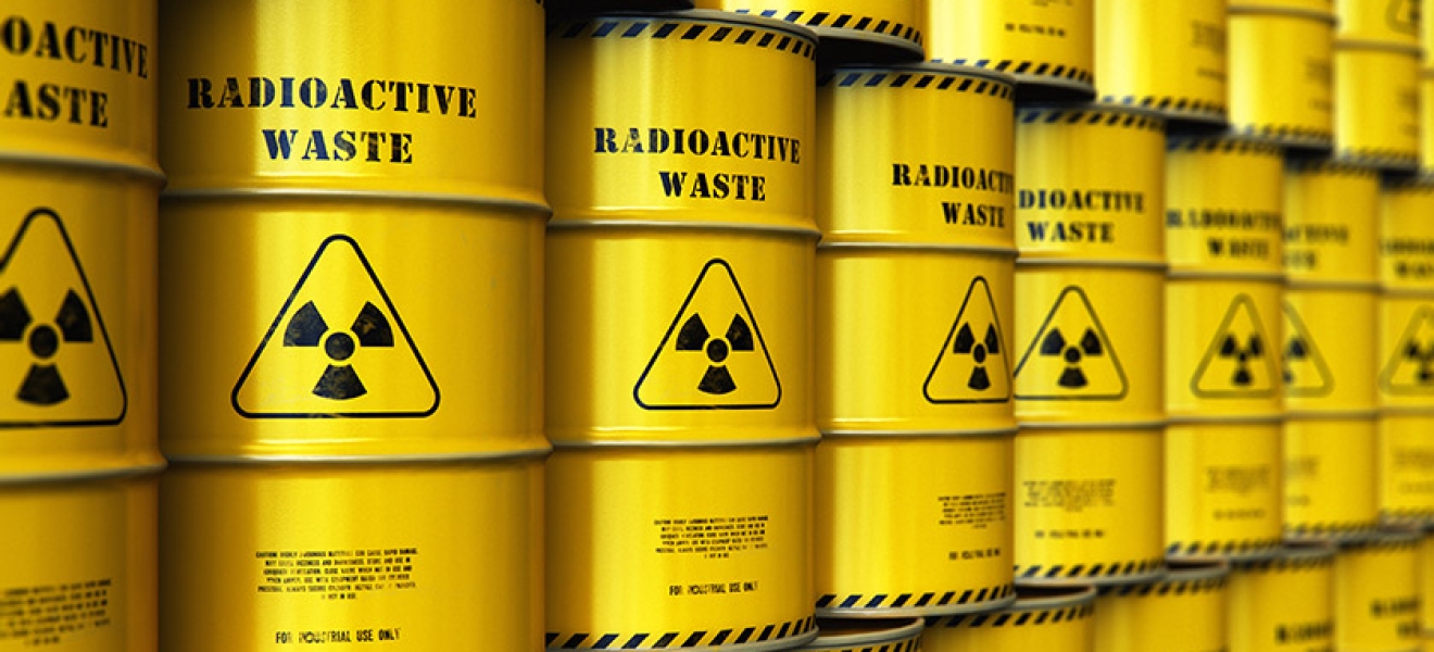 Un investigador de CNEA llevó a Viena una propuesta para los residuos nucleares