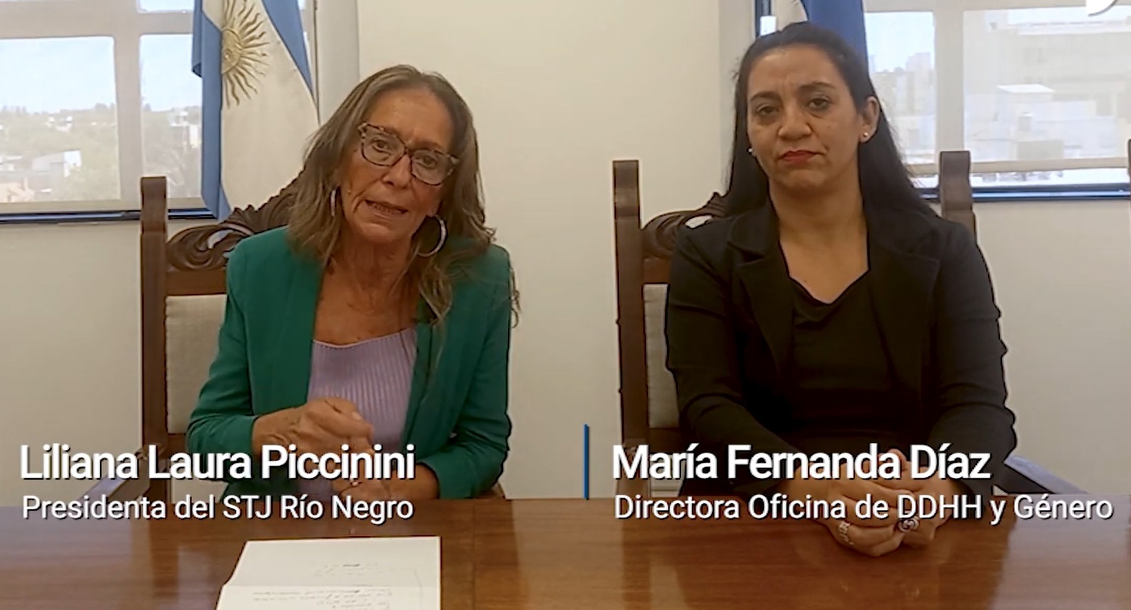 (((video))) Río Negro: 1er Suplemento de sentencias y resoluciones con perspectiva de género