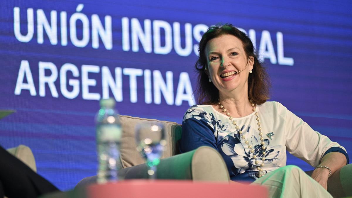 (((video))) Mondino dijo que podrían gobernar por decreto y que Argentina no ingresará a los Brics