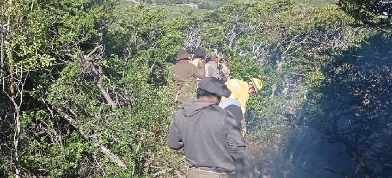 Brigadistas combaten un incendio en la naciente del Río Chubut