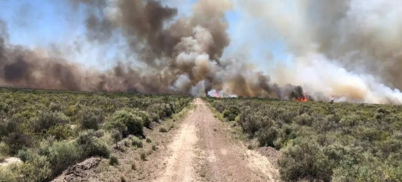 Ola de calor: piden extremar cuidados para evitar incendios en Rio Negro