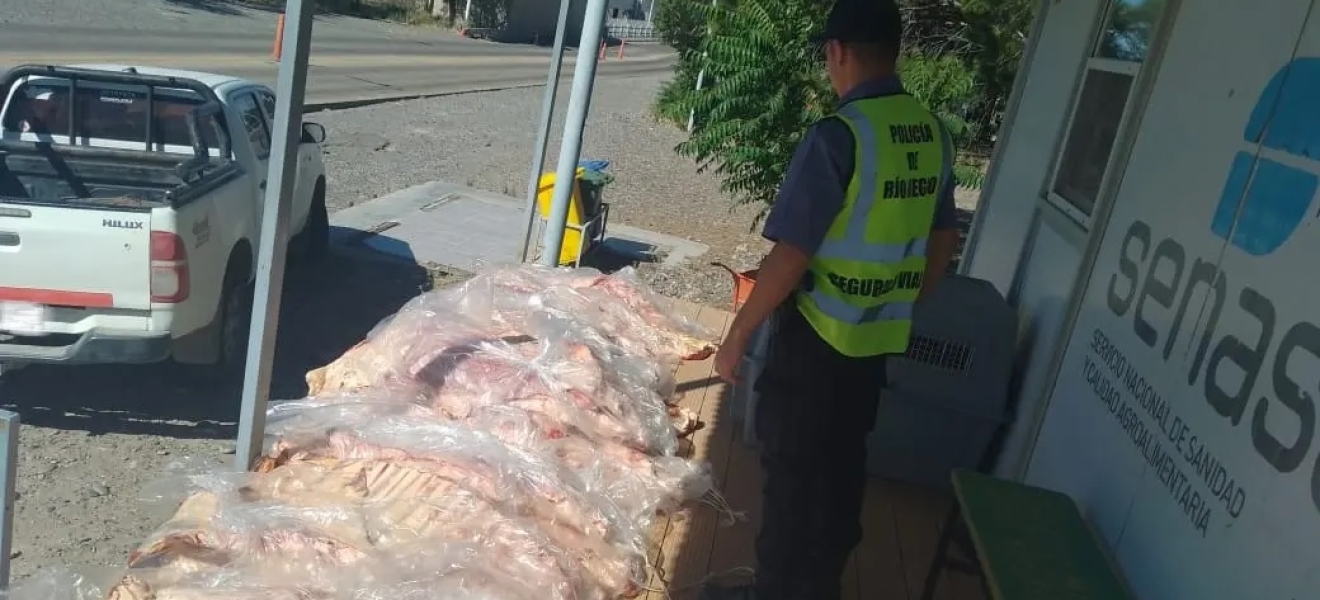 La Policía de Rio Negro secuestró más de media tonelada de carne en distintos operativos