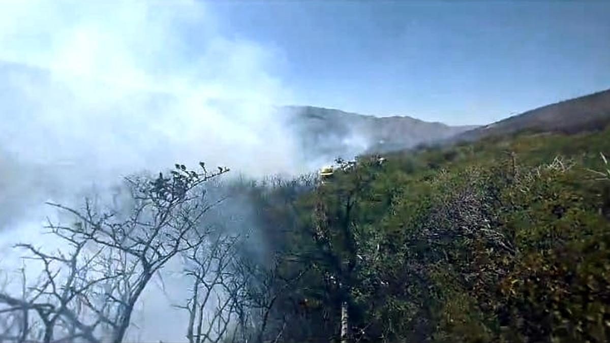 Brigadistas lograron contener el incendio en el Río Chubut