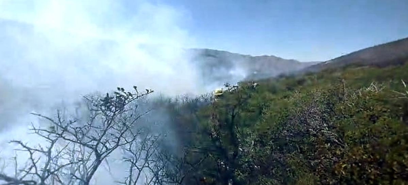 Brigadistas lograron contener el incendio en el Río Chubut