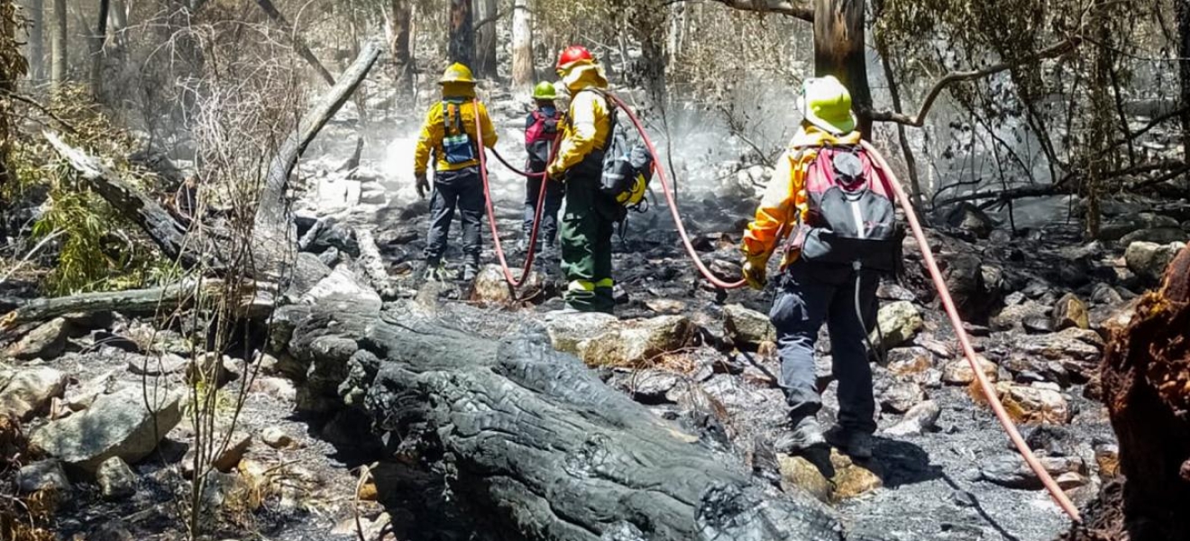 Ante la temporada de incendios, preparan la asistencia a las provincias