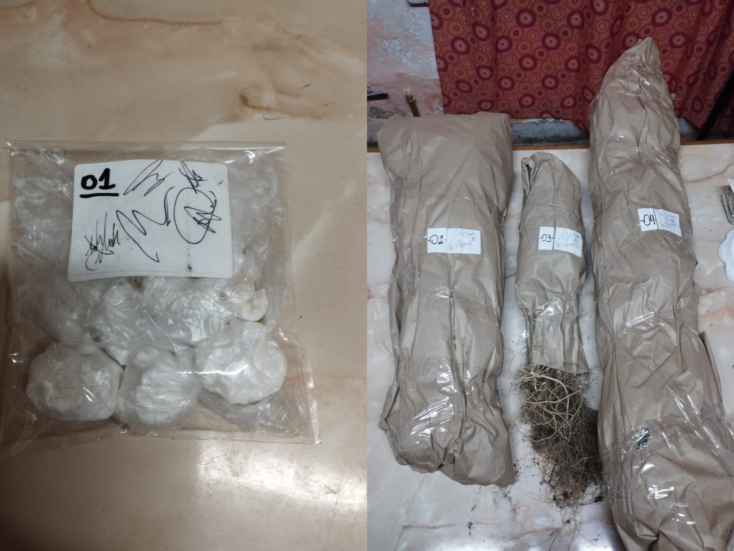 Cocaína y plantas de marihuana durante un allanamiento en Cipolletti