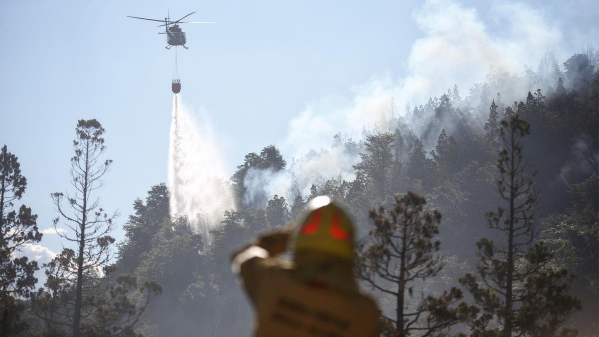 Chubut: Luchan para controlar un incendio en el Parque Nacional Los Alerces