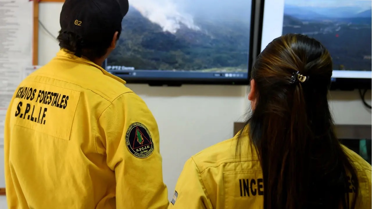 Incendio en Parque Los Alerces: Río Negro puso a disposición sus recursos