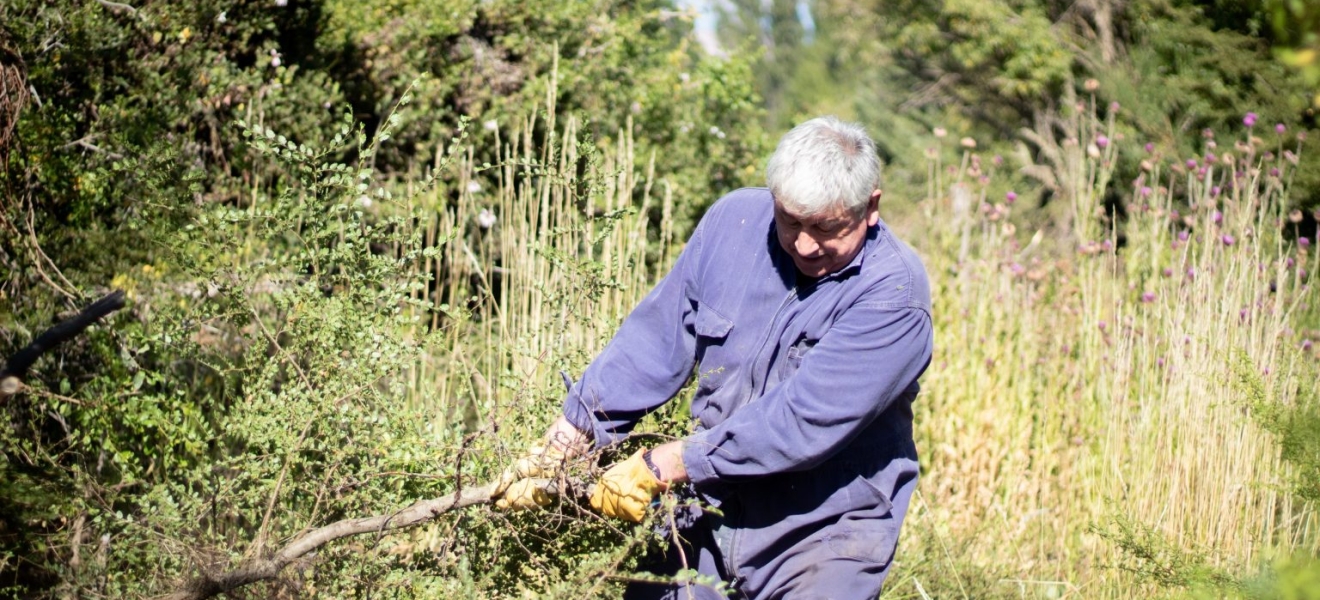 Municipio de Bariloche continúa el desmalezamiento y apertura de calle Prayel