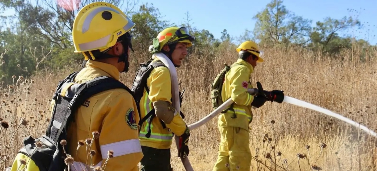 Río Negro: Advierten condiciones extremas de riesgos de incendios forestales