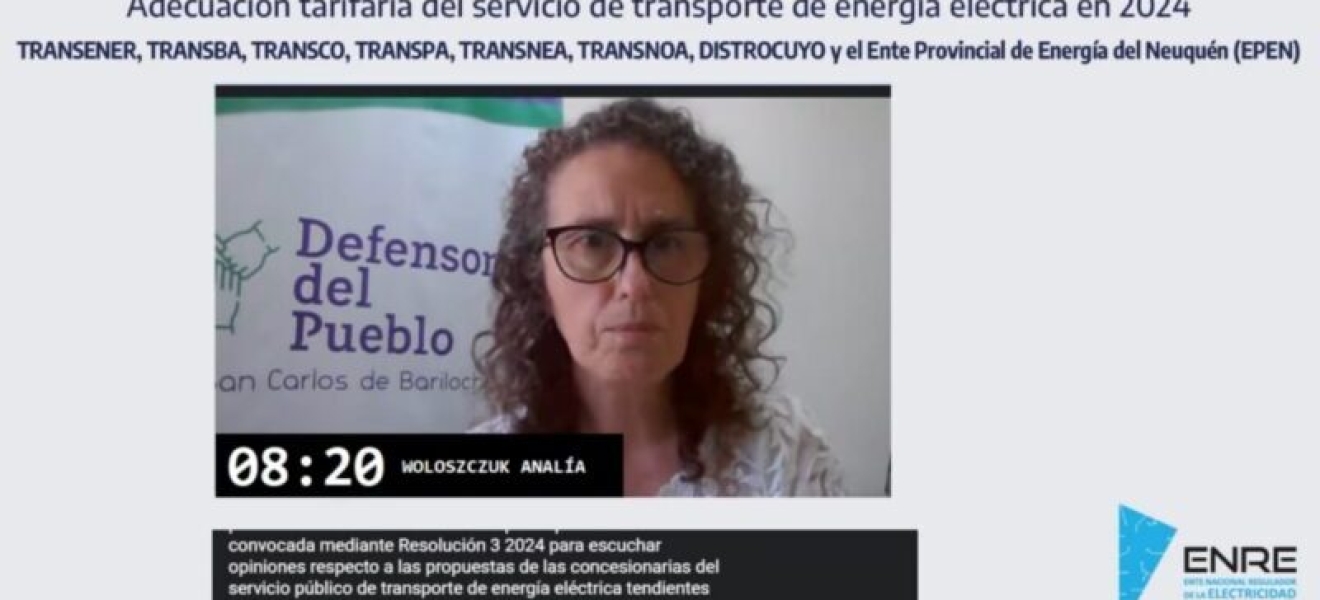 Defensora de Bariloche en la audiencia por Adecuación de Tarifas de Transporte de Energía