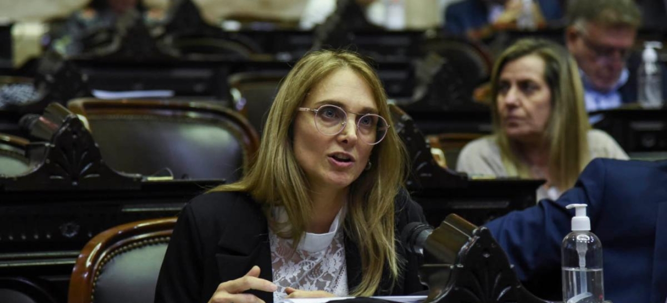 Diputada radical en contra de otorgar superpoderes al presidente Milei