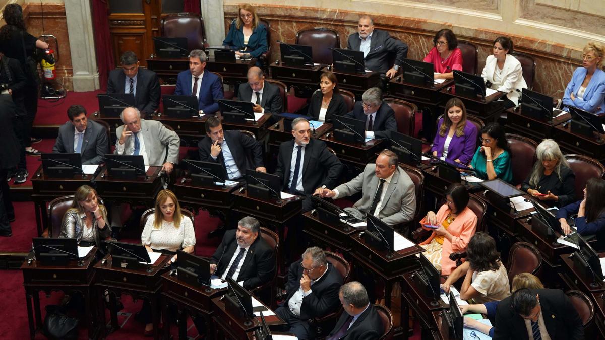 Analizan el proyecto sobre lavado de activos en el Senado