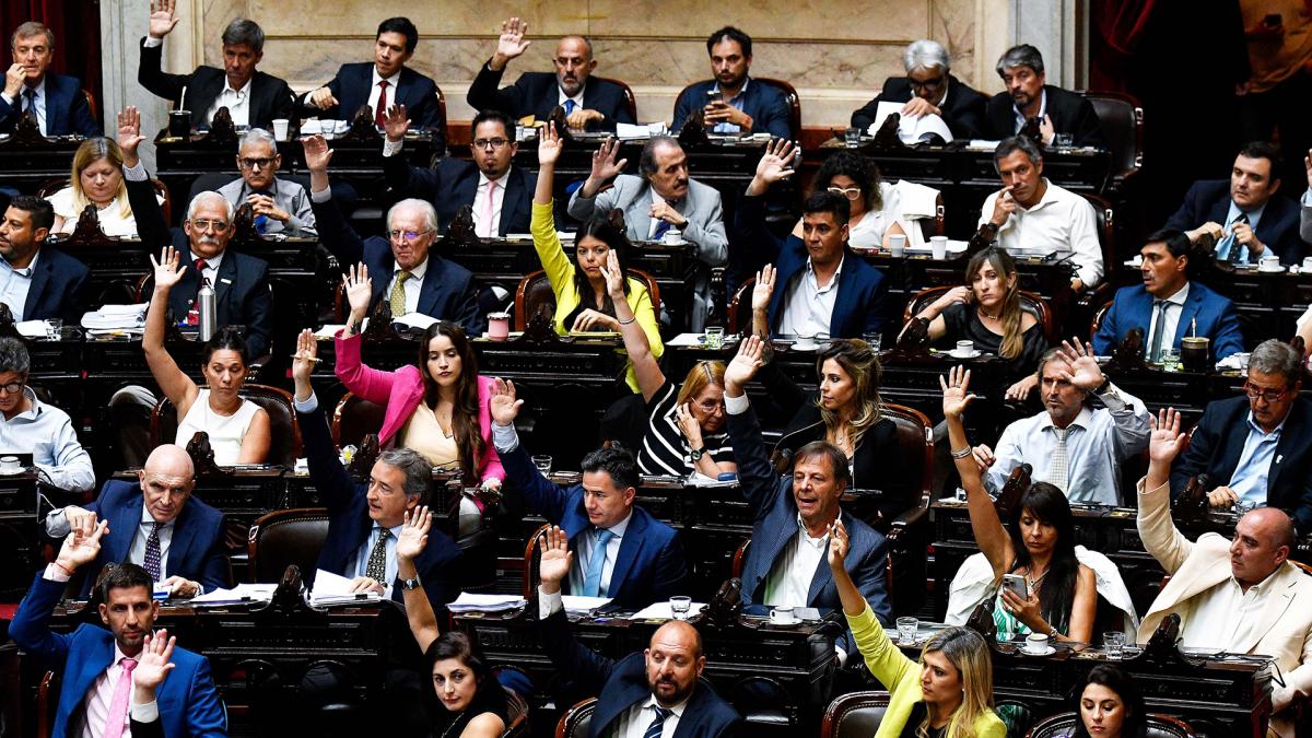 La Cámara de Diputados aprobó la emergencia económica