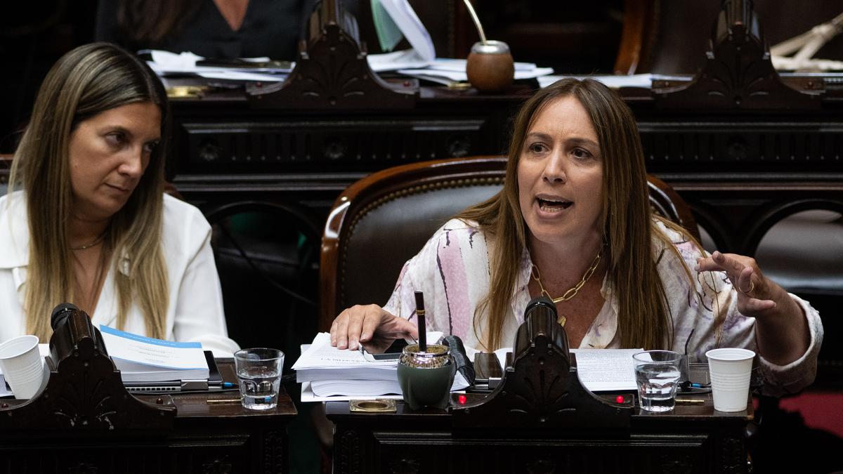 Vidal: El bloque del PRO va a votar a favor de todos los artículos